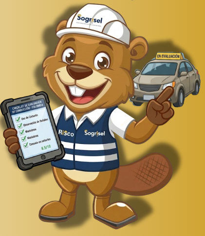 PRUEBAS TEÓRICO-PRÁCTICAS PARA CONDUCTORES